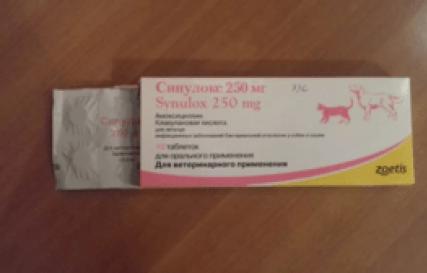 Антибиотик широкого спектра действия Синулокс для собак: инструкция по применению для лечения бактериальных инфекий Синулокс в инъекциях инструкция по применению